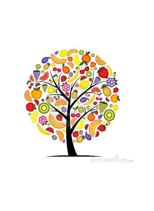 albero dei frutti