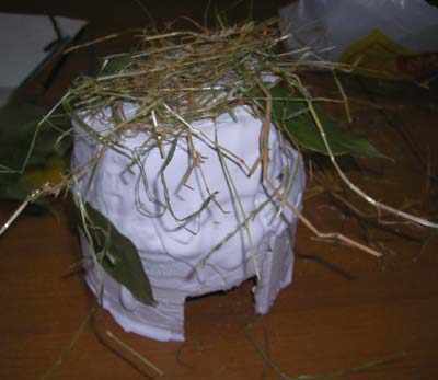 bassini3g