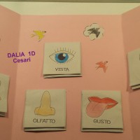 Il lapbook di Dalia