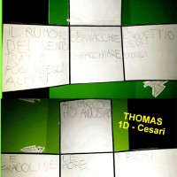 Il lapbook di Thomas