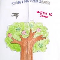 Il lapbook di Mattia