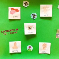 Il lapbook di Leonardo M.