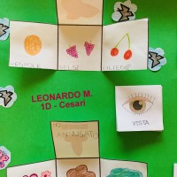 Il lapbook di Leonardo M.