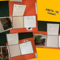 Il lapbook di Anita