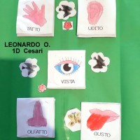 Il lapbook di Leonardo O.